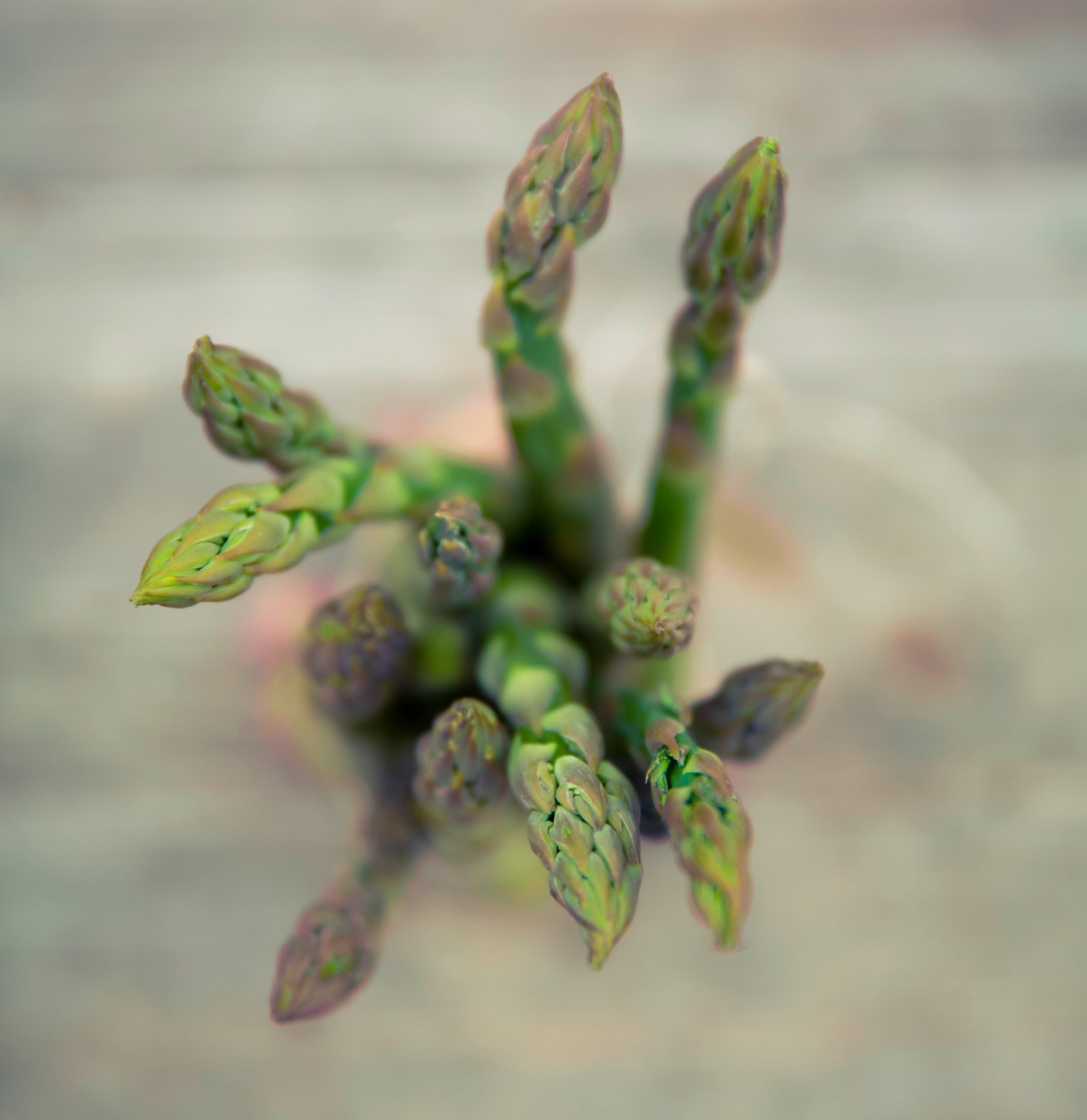 asparagus-food-plant-93492