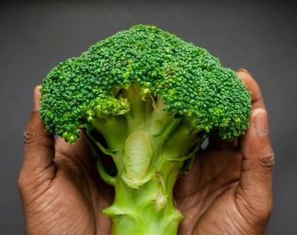 broccoli-and-hands