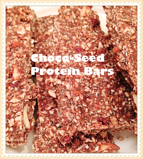 choco seed protein bars